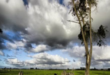 [NBA]戴维斯突破分球 八村塁底角三分命中.