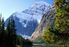 天博体育官网：英媒：巴黎比曼联更有希望签下奥斯梅恩，恩里克说服了球员.