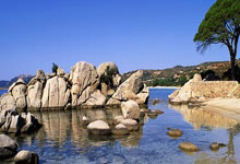 天博体育官网：大胜山东赛后太温馨！张镇麟与全队致敬，杨鸣与两赛季新援打闹！.